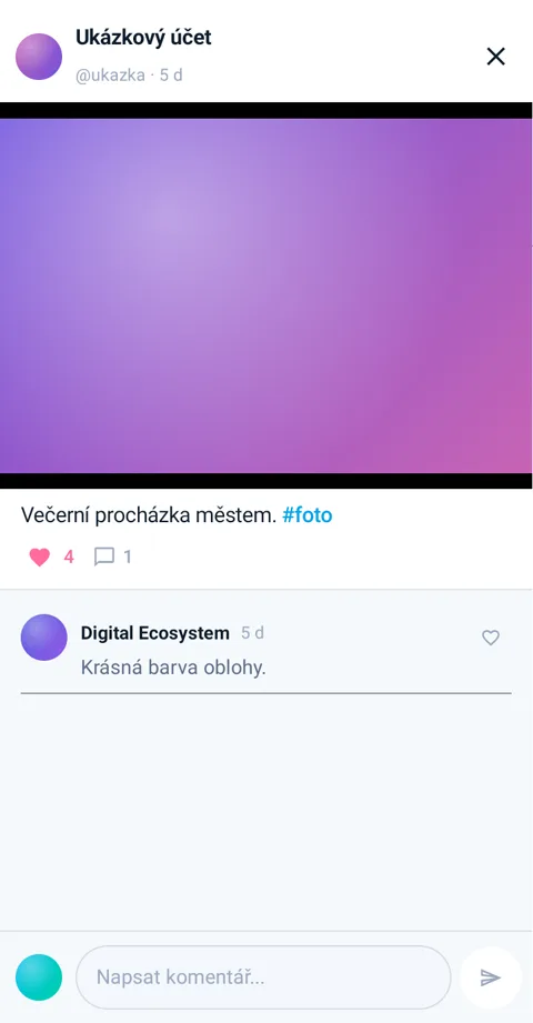 Detail příspěvku s fotkou a komentáři pod ní